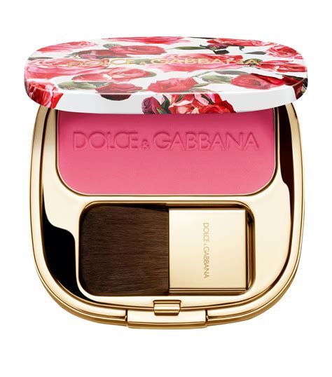 dolce & gabbana blush of roses cheek powder